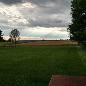 Meet your Posher, Matt